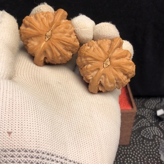 吊坠文玩核桃白狮子