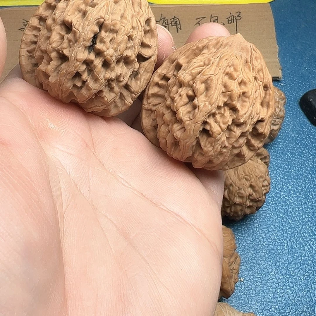 文玩核桃把件41➕虎头