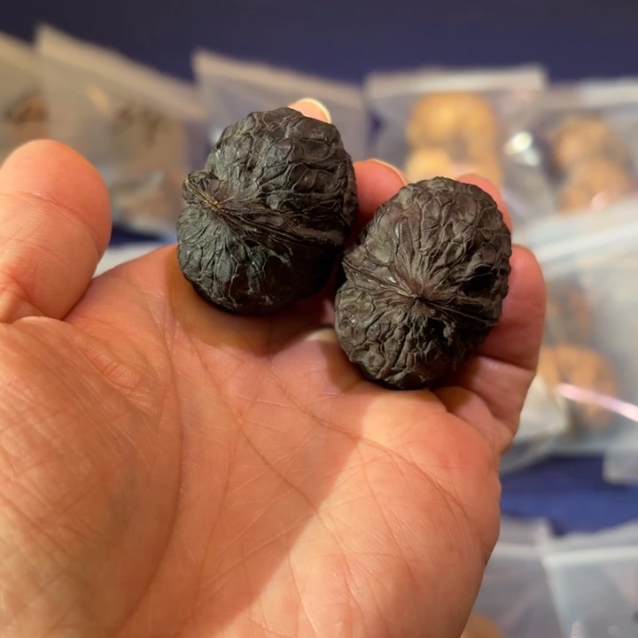 吊坠文玩核桃黑天使