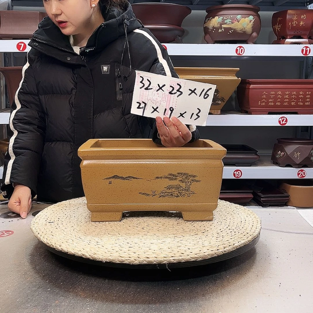 紫砂花盆紫砂花盆里