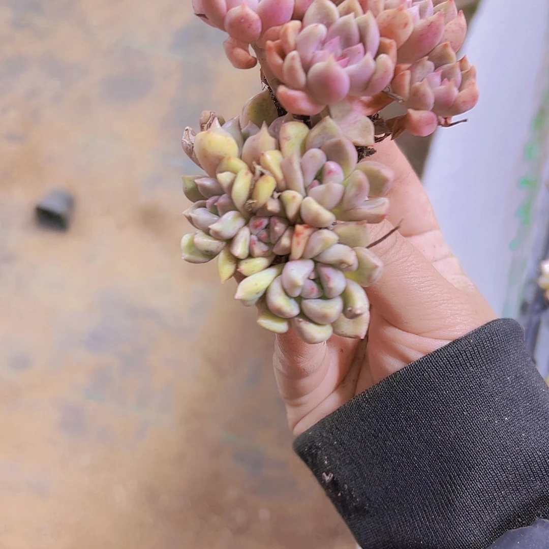 油漆桶群2个19包邮