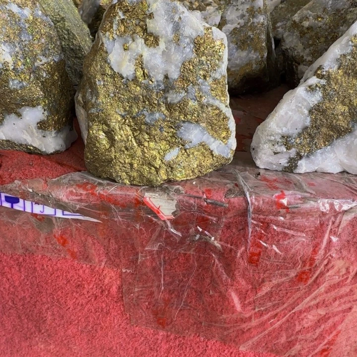 瑞***器有机玻璃图图一我哦哦哦哦哦