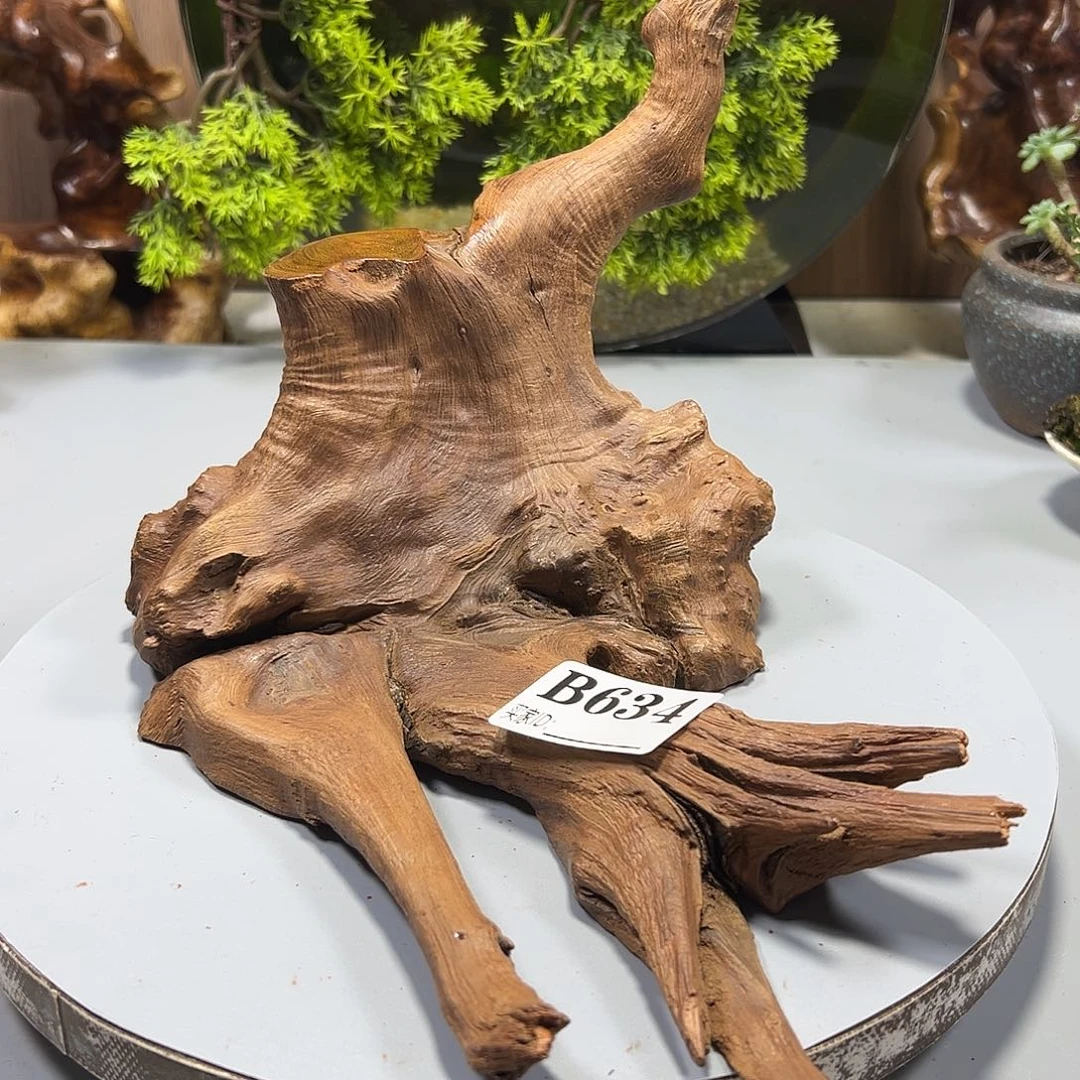 大果紫檀（缅甸花梨）七****5