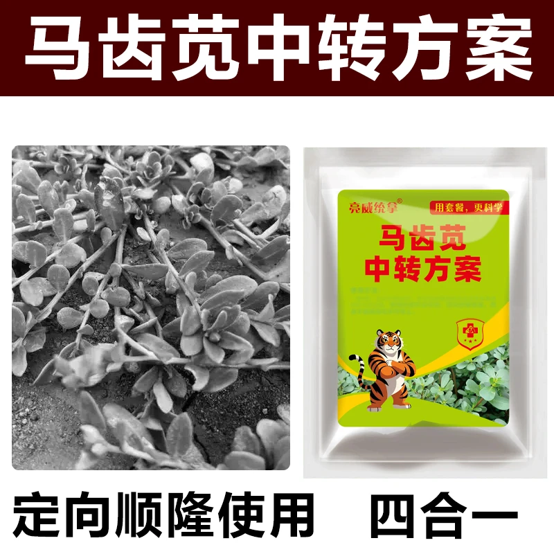 1马齿苋清理顺隆使用强力清理升级版方案马齿菜喷雾有机质肥料