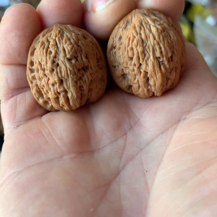 文玩核桃吊坠红玛瑙29