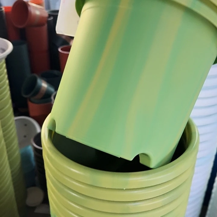 串色5#口径32果绿5个无托