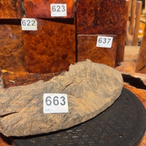 大果紫檀（缅甸花梨）