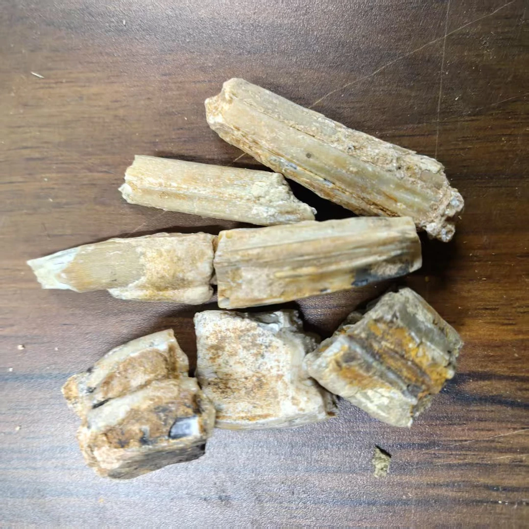 土特产甄选龙——骨可搭配牡蛎煮水