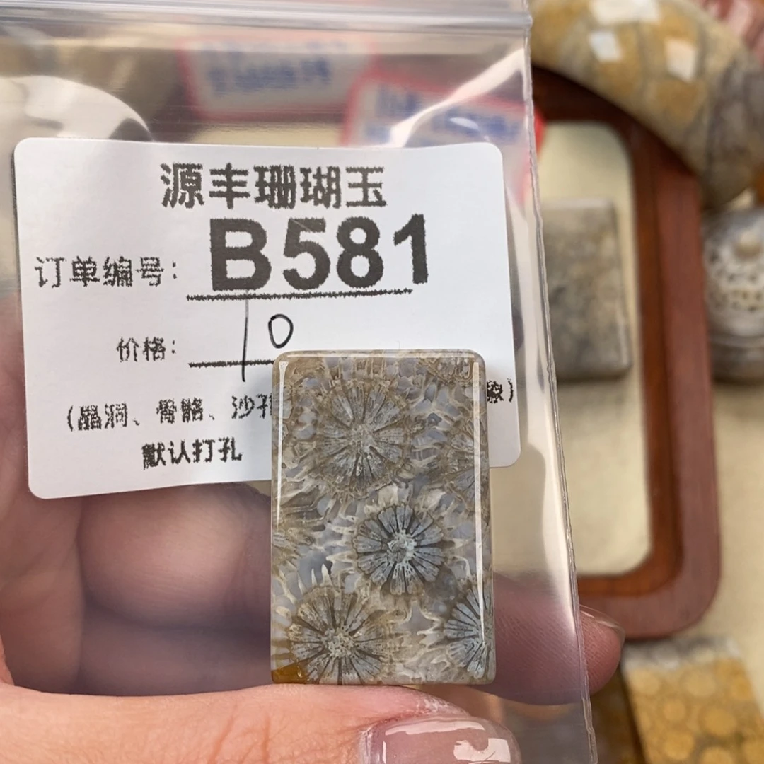 硅化玉颈饰未镶嵌一*川