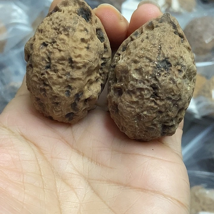 文玩核桃把件云南铁核桃基地1