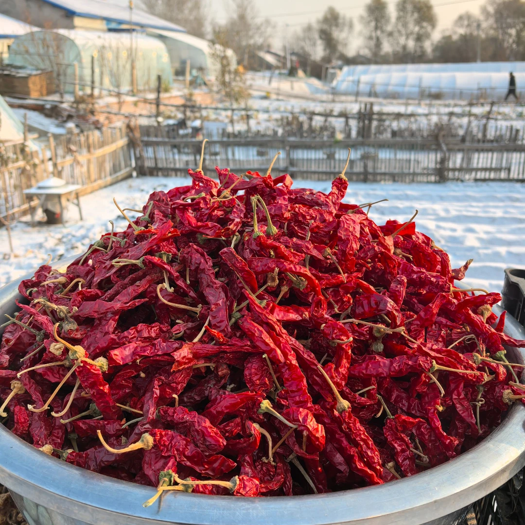 东北特产干红辣椒自然晾晒1斤包邮
