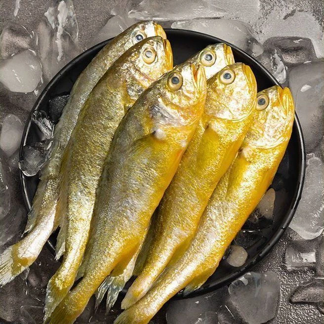青岛本地大号野生黄花鱼顺丰包邮到家 一斤6-8条