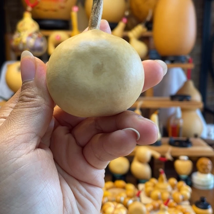 池***猛天然葫芦自然生长