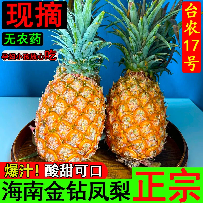 【海南金钻凤梨】台农17号现摘现发凤梨 5斤金钻凤梨水果礼盒多汁甜
