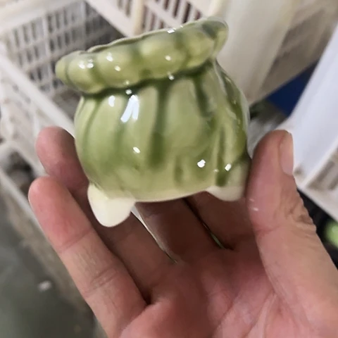 ·当场直播凑9发·慎拍·全是福利·