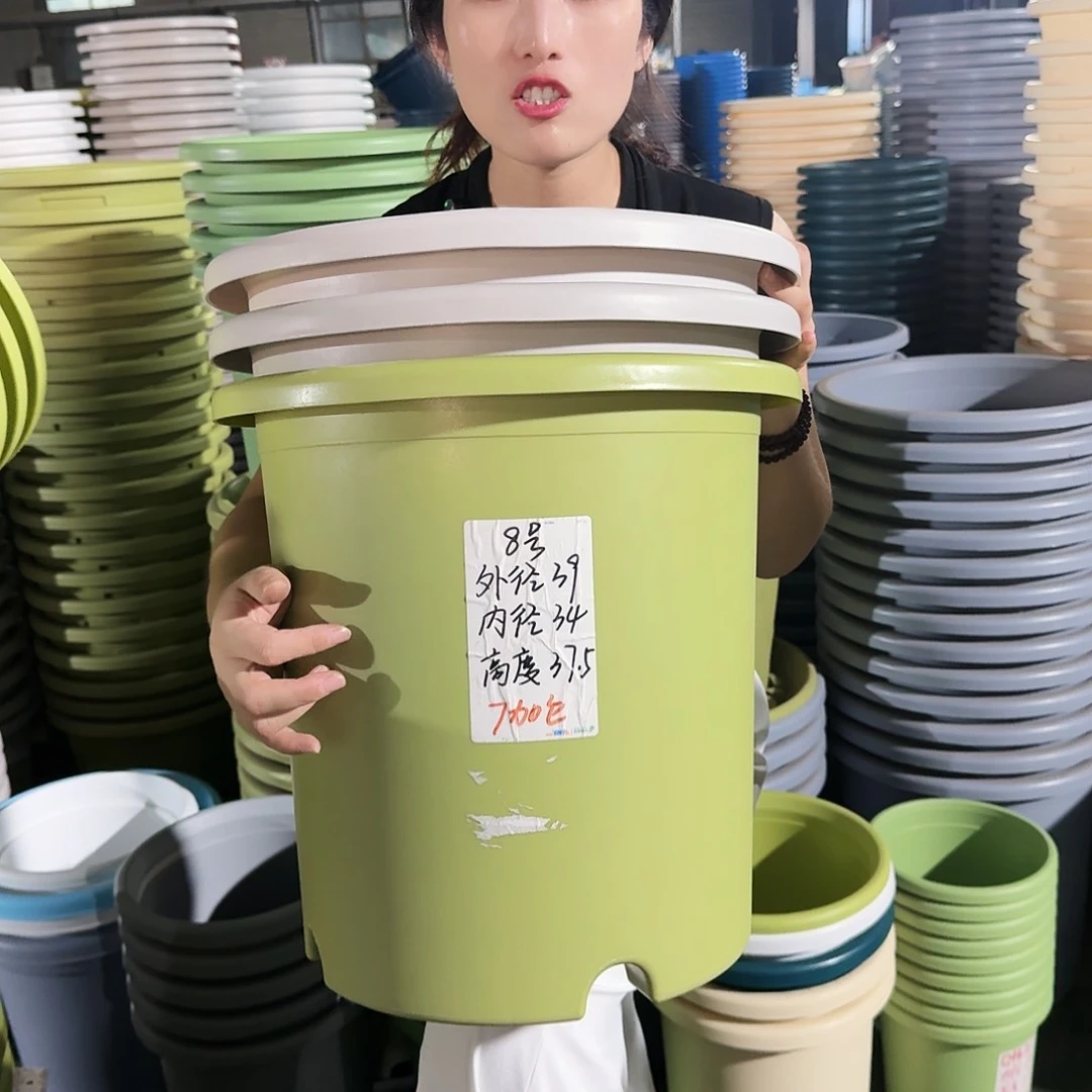 微瑕8#无拖果绿5个