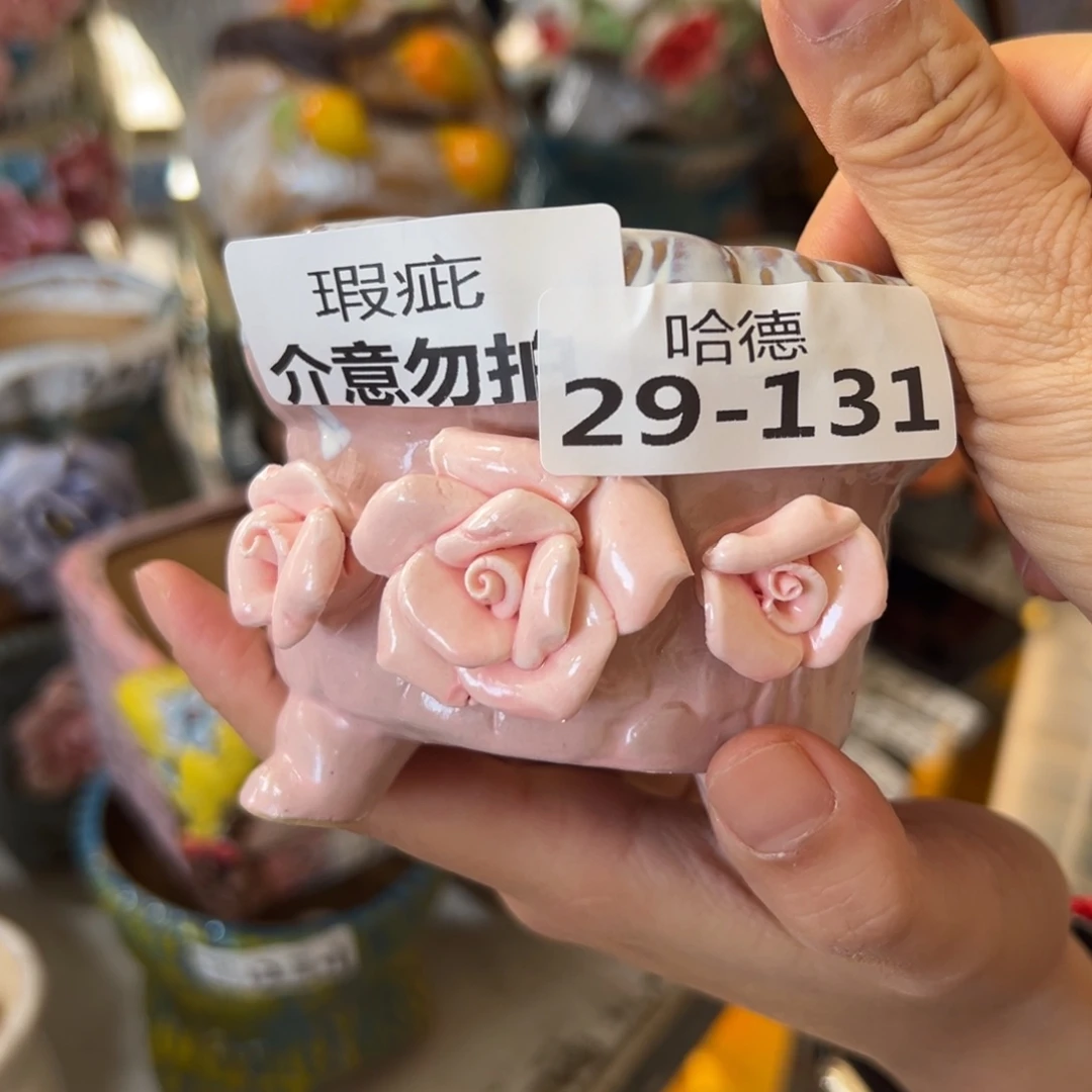 瑕疵29131 多肉花盆拍满20包邮，退款拉黑