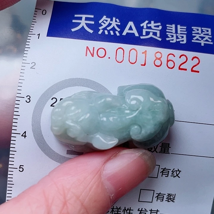 吊坠(赠链)未镶嵌翡翠