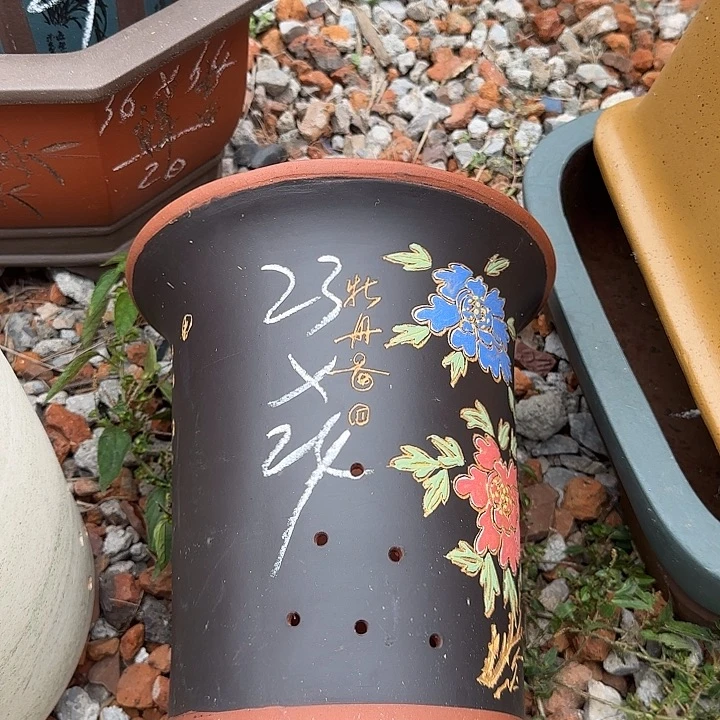 花盆紫砂紫砂花盆