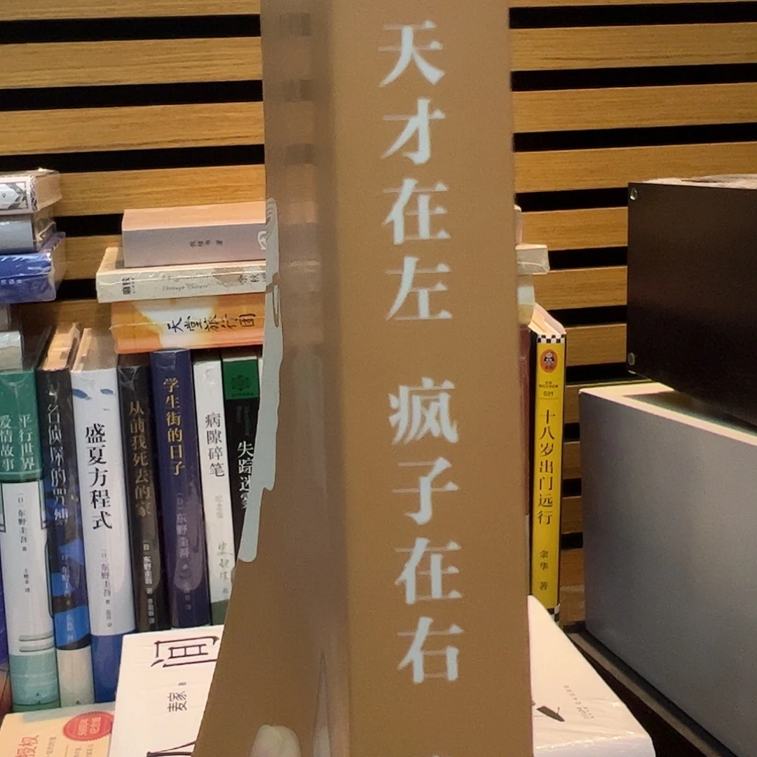 天才在左疯子在右 平装