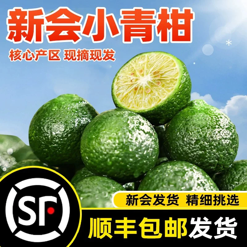 新会小青柑鲜果奶茶店专用原料新会茶枝柑天马产区手打柠檬茶
