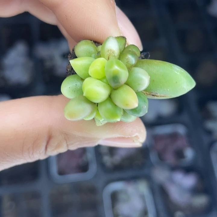 一物一拍满18包邮