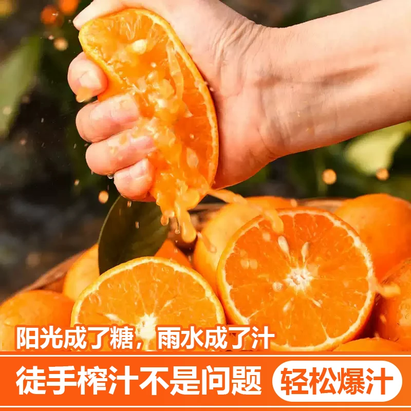 广西·武鸣沃柑新鲜采带箱10斤果地直发水果甜蜜多汁--