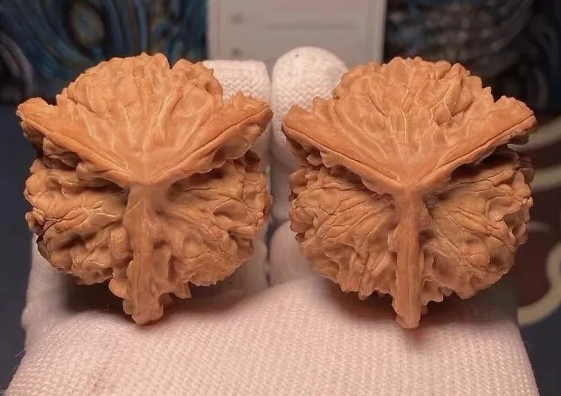 盘山三棱青皮福利价保底10个（包熟，不包三棱）