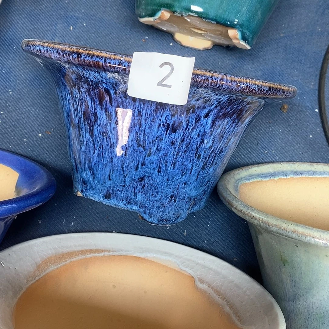 暴**阵盆景斗立2号包邮