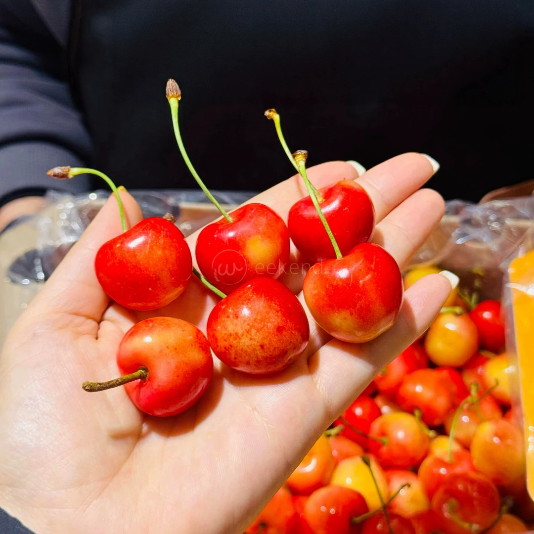 【锁子扣金车】3J优智利车厘子4.6斤原箱新鲜水果海运内附果径卡