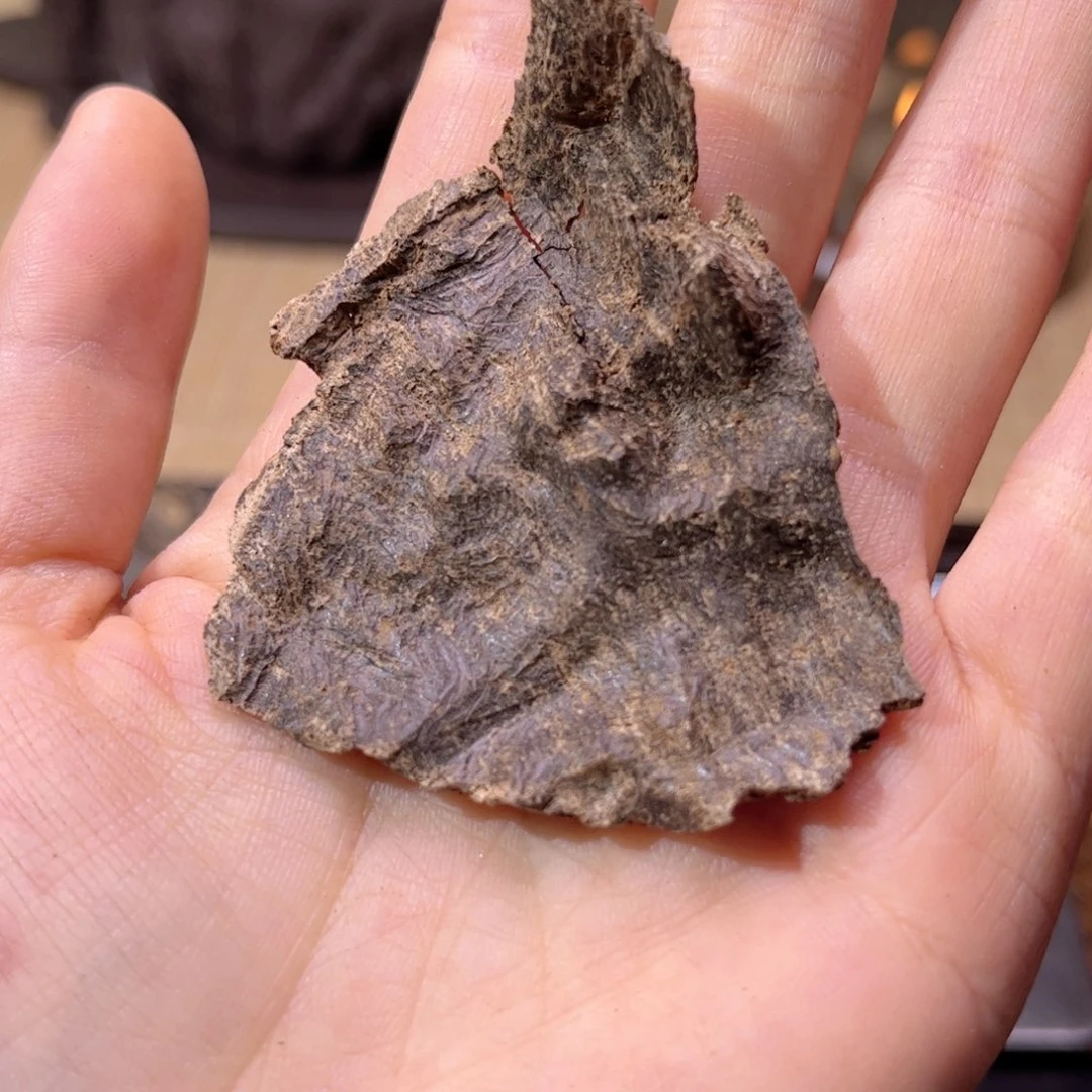 香榧木海南木料尖峰岭老铁头2.8克