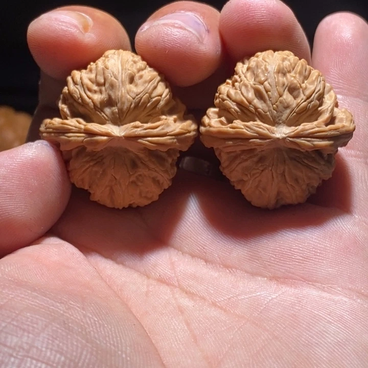 文玩核桃把件188白狮子