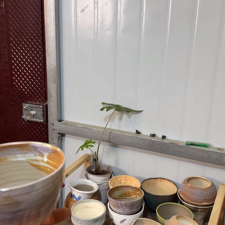 漫***儿景德镇桌面陶瓷花盆