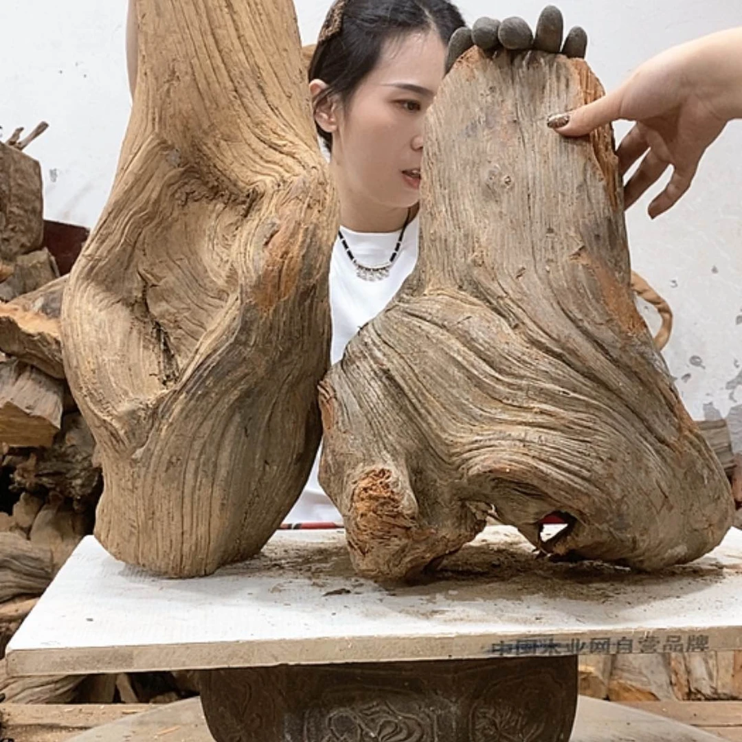 【闪购商品】柏木锦*阁我们都是好孩子