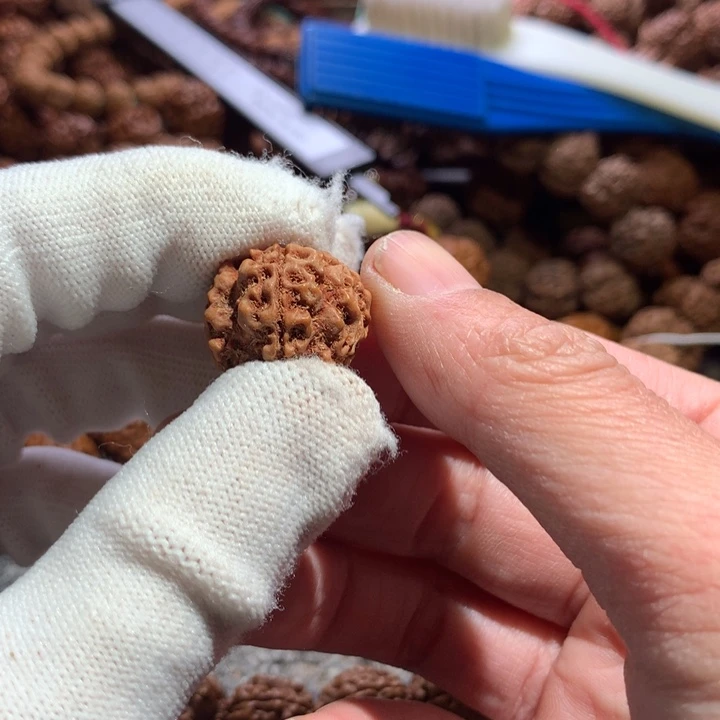 ****云金刚菩提手串20原生态16颗粗筋梅花双龙