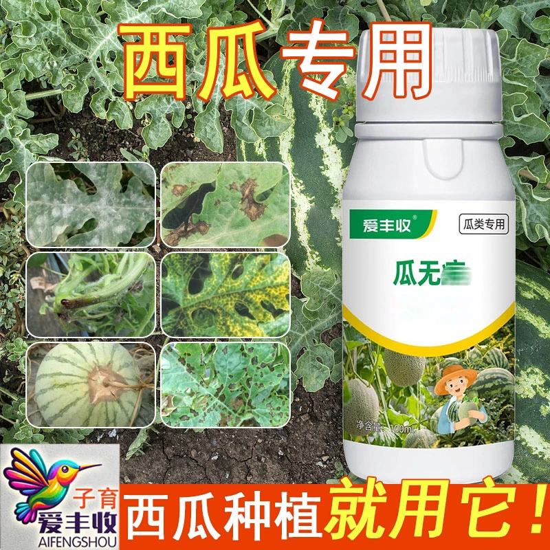 爱丰收西瓜瓜类专用瓜叶面专用甜瓜香瓜哈密瓜西瓜通用微生物肥料