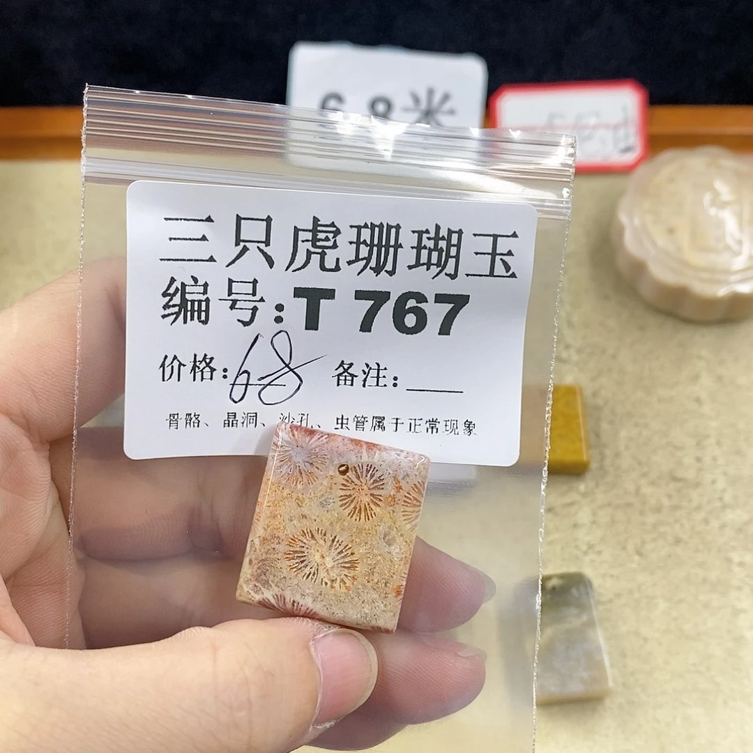 硅化珊瑚（珊瑚玉）1未镶嵌雪**绘