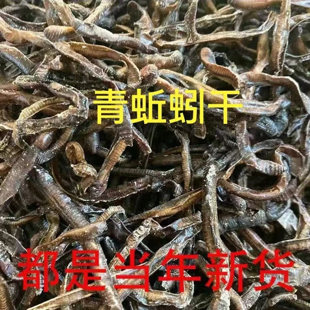 整条青臭黑干蚯蚓下笼子抓黄鳝专用蚯蚓干诱饵未破肚味道大地龙干