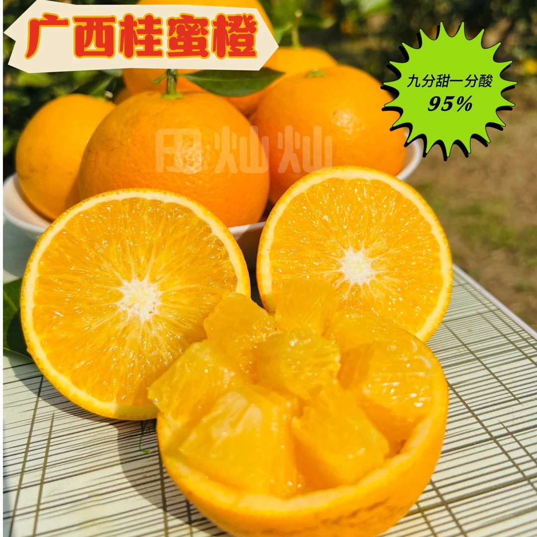 【匠心臻品】广西高端橙子桂蜜橙应季生鲜原产地直发清甜脆口