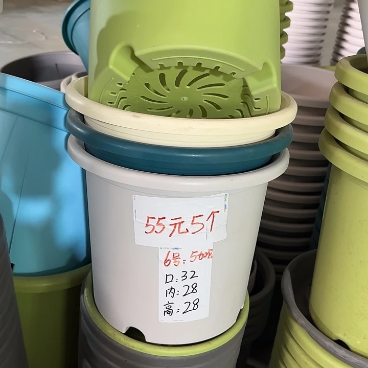微瑕6#口径32无托果绿10个