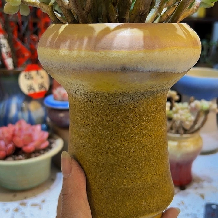 景德镇陶瓷2单包邮