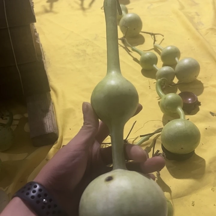 岸***行三庭文玩葫芦摆件瑕疵