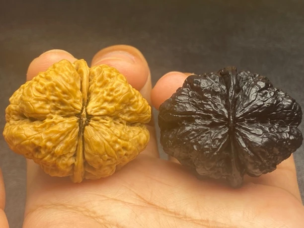云南铁核桃 文玩核桃 39-40尺 名款阴阳蝴蝶 发货图片同款一对