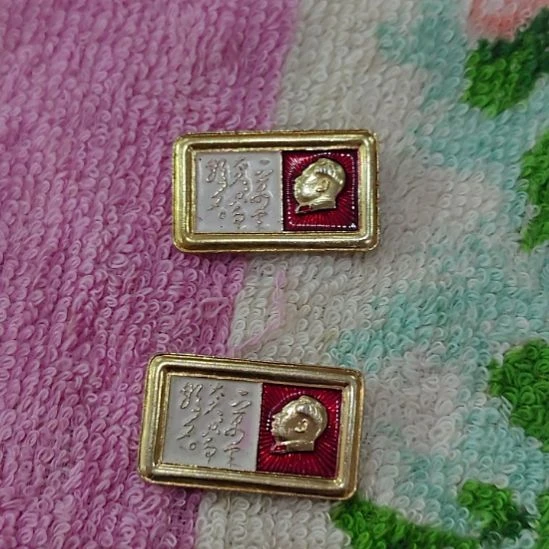 浅***8其他普通金属纪念章