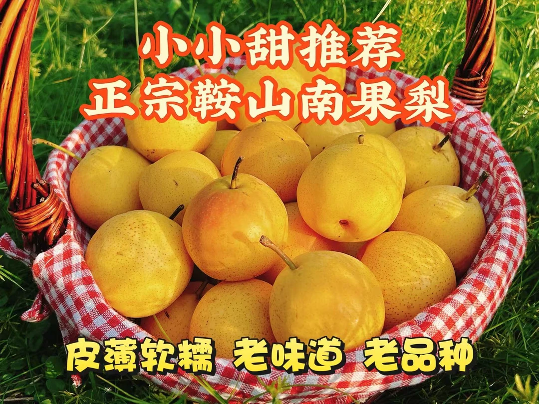 【小小甜专属】正宗鞍山南果梨薄皮无渣软糯香甜