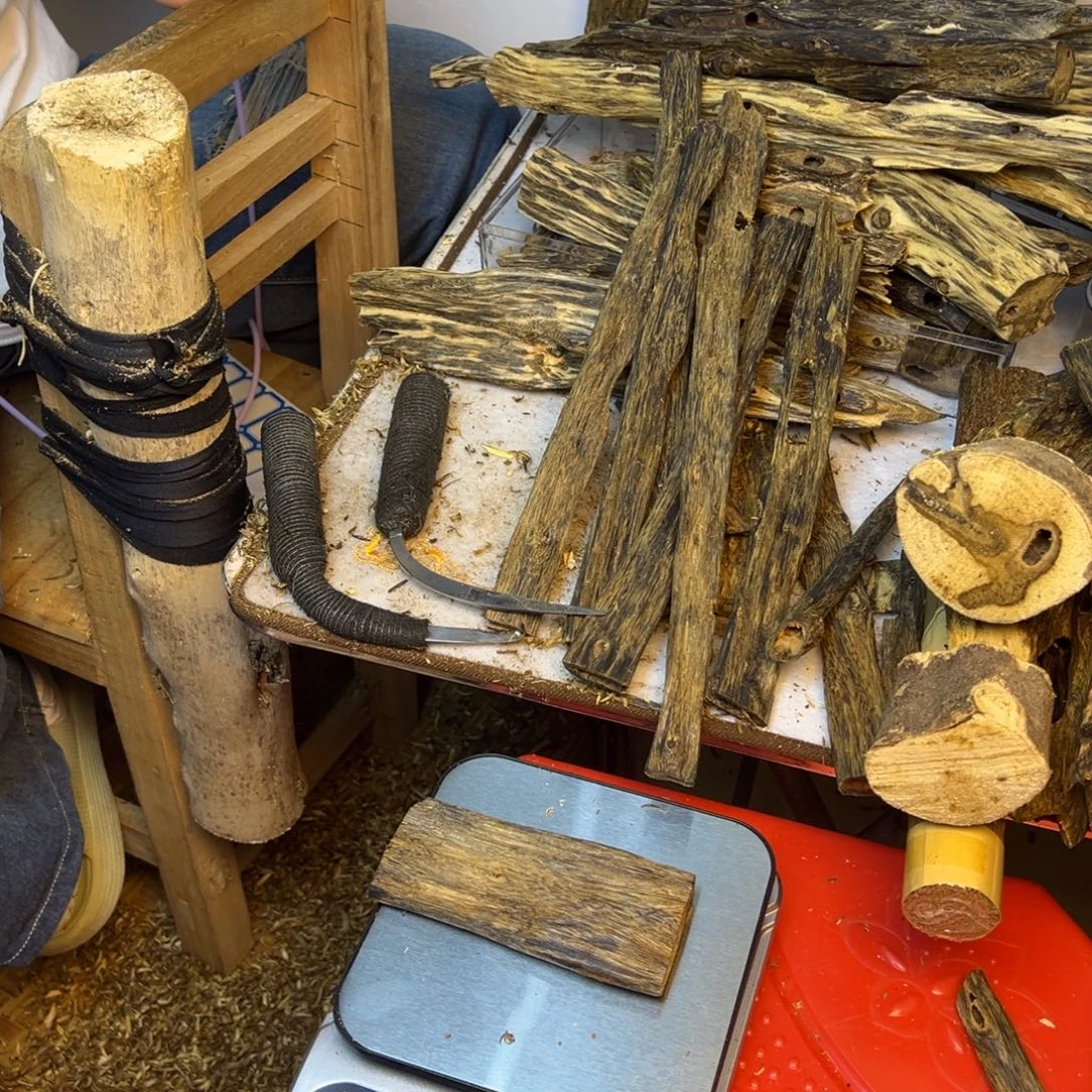 线香奇楠虫漏香39克