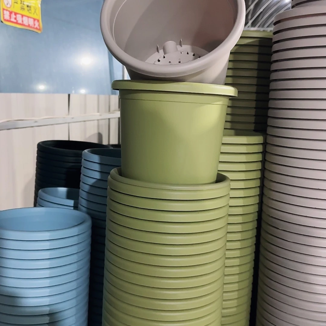 塑料四季盆3号果绿5个带拖