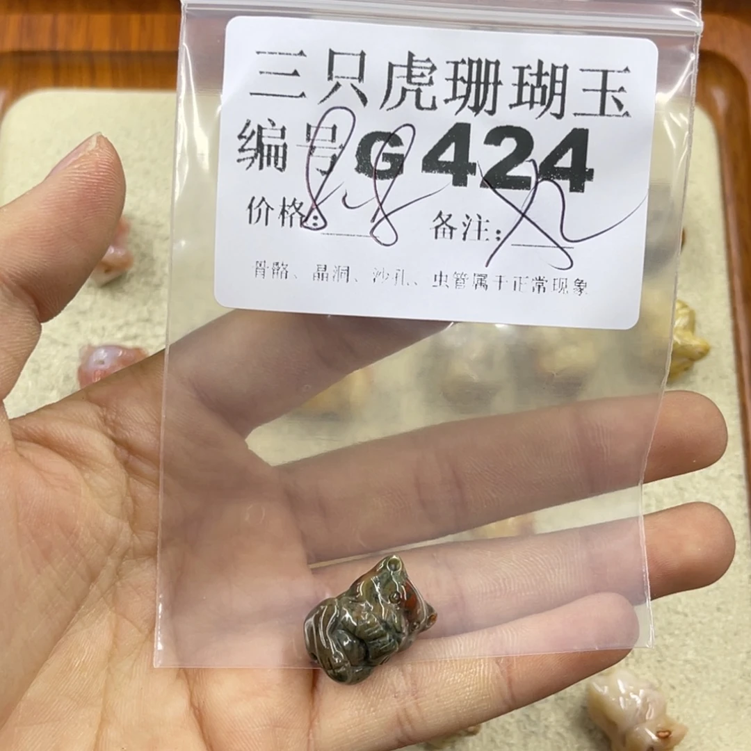 *****硅化珊瑚（珊瑚玉）未镶嵌h