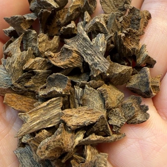 沉香摆件海南野鸡母虫5克多样性