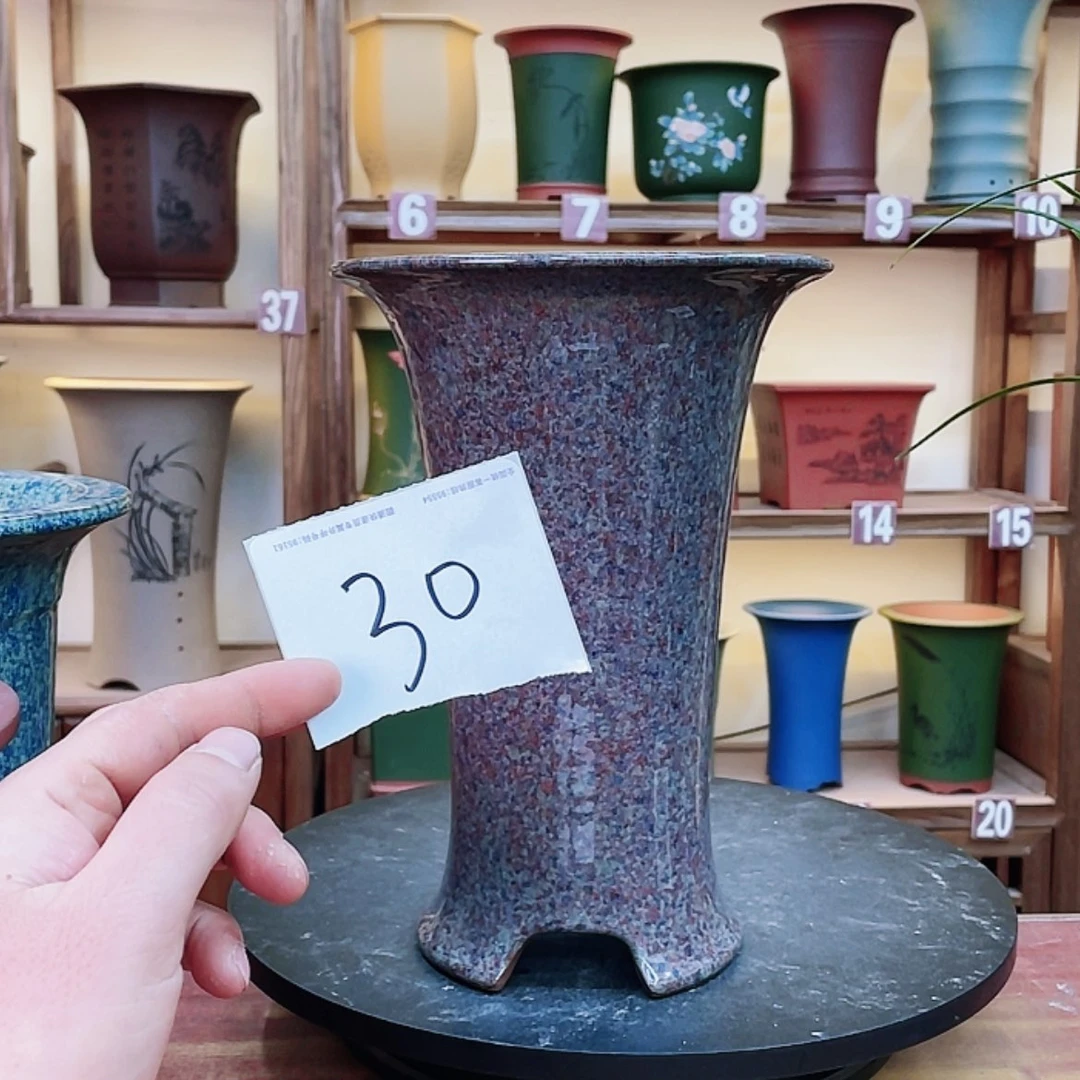 【闪购商品】紫砂花盆白*兔兰花455598863224889665